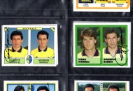 Baresi  G.  5